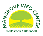 Mangrove Information Center & Kayaking